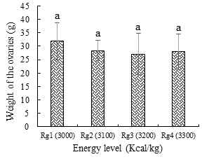 Figure 4: ** Weight of _Clarias jaensis_ ovaries depending on the energy level of the ration.