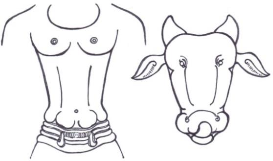 Figure 9: Egg shaped face.
