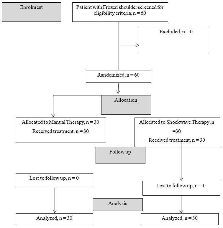 Figure 1: Flow diagram of phases through the clinical trial.