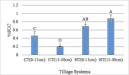 Figure 4: Percentage of SOC in NT and CT Treatments at Two Depths (0-15 and 15-30 cm). In Each Chart Same Letters are Not Statistically Significant at P<0.05. Error Bars Indicate ± 1 Standard Error.