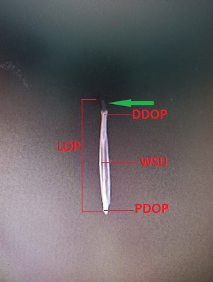 Figure 2: Radiographic Imaging of os penis in the red fox. Dorsoventral view (Green arrow: fibrous cartilaginous tissue, Length of the os penis (LOP), Distal diameter os penis (DDOP), Proximal diameter os penis (PDOP), Width of sulcus urethralis (WSU)).