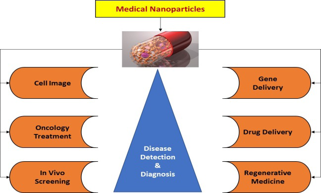 Figure 1: Nanoparticles in Medical Domain.