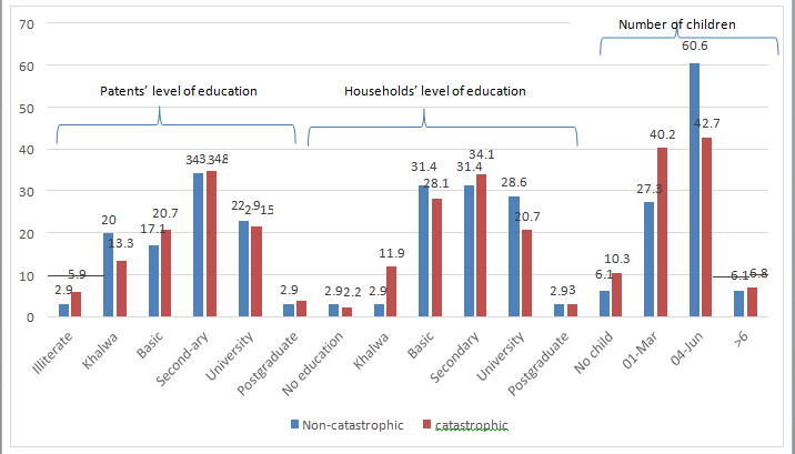 Figure 1: frequency table of the socio-demographic characteristic and its correlation with the catastrophic health expenditure (n = 170).