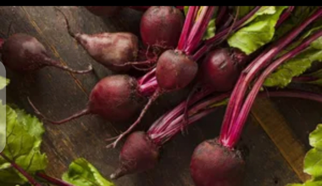 Figure 2: Garden Beet root.