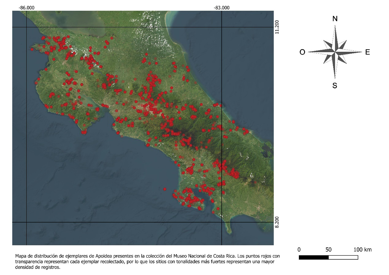 Figure 2: Recollection events of the specimens of Apoidea of MNCR since 1989 to 2024.