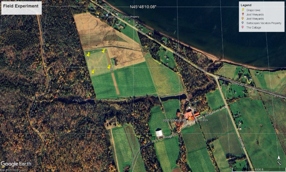 Figure 1: Location of the Experimental Vineyard from Google Earth. The Vineyard Boundaries are Shown with Four Yellow Points.
