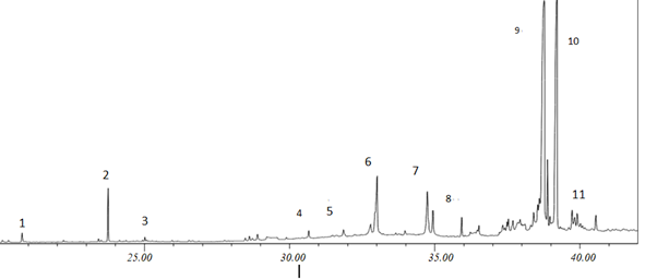 Figure 3: The GC-MS chromatogram of the cocoplum (Chrysobalanus icaco L) seed oil.
