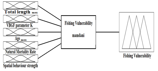 Figure 4: Fuzzy inference system variables (Inputs: TLmax, K, Tmax, M, S; Output: FV).