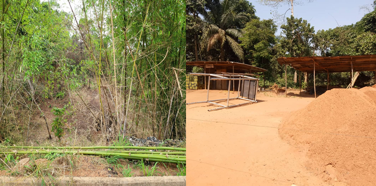 Figure 6: Wood/Bamboo logging and Sand mining activities along Ezekoro Stream.