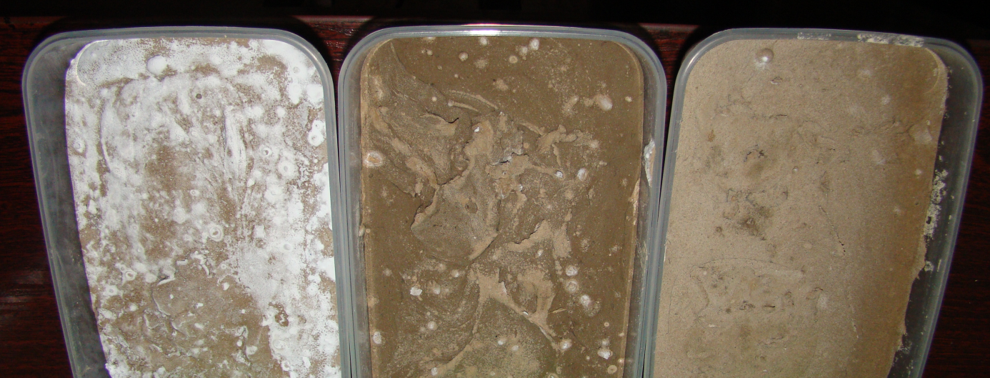 Figure 1: Samples with cement addition from left: 30%, 40% and 50%.
