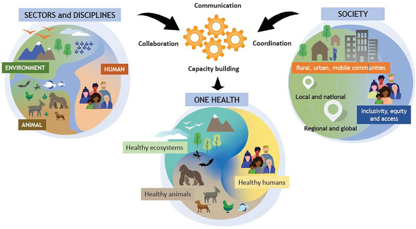 Figure 3: The One Health High-Level Expert Panel created the definition of One Health. The triple planetary crises-the crisis of pollution and waste, the crisis of nature and biodiversity loss, and the crisis of climate change-cannot be understood or addressed in isolation from one another because they are all caused by unsustainable patterns of consumption and production, according to UNEP Executive Director Inger Andersen. Source: https://cdn.unenvironment.org/s3fs-public/inline-images/One-Health.png.