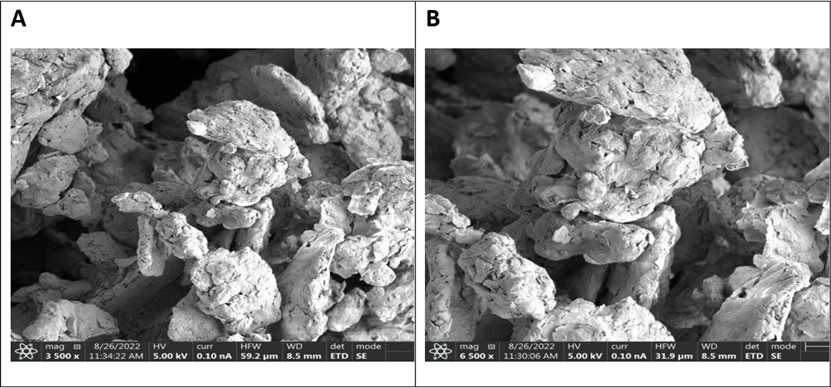 Figure 18: SEM images of Ca bentonite used for experimentation at (A) 3500 and (B) 6500 magnification.