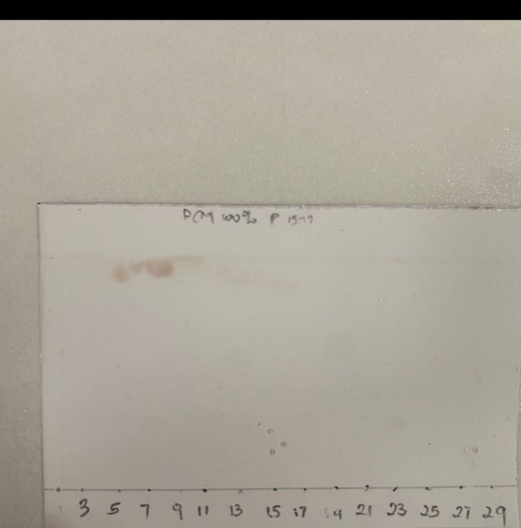Figure 2: Thin Layer Chromatography plate showing Compound 7 as pure compound after it was developed in 100% DCM.