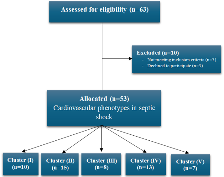 Figure 1: Flowchart of the studied patients.