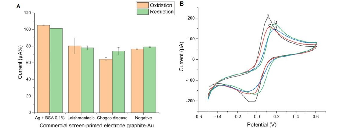 Figure 3: Bar graphs representing data referring to the detection graph (A) and cyclic voltammograms (B) for de redox probe in gold-modified graphite electrodes.