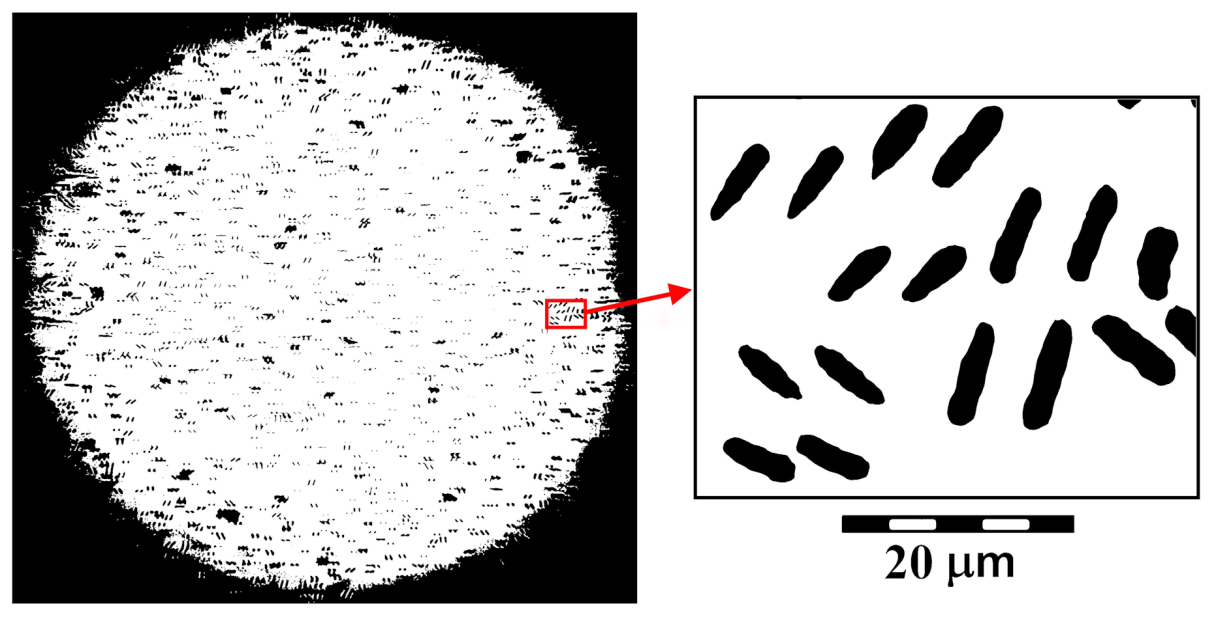 Figure 4: Optical Microscopic Image of One-Dimensional Structures Synthesized from the Evaporation of a C70 Molecular Solution in Dichlorobenzene (with a Fullerene C70 Concentration of ~5.6 Mg/Ml) on the Substrate Surface.
