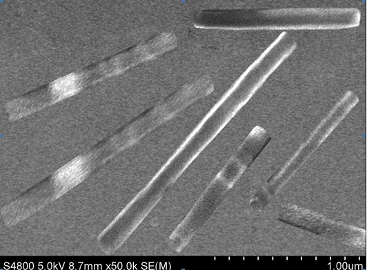Figure 5: SEM Image of Nanowhiskers Synthesized from the Evaporation of a C70 Molecular Solution Droplet on the Base Surface at T≈36°C.