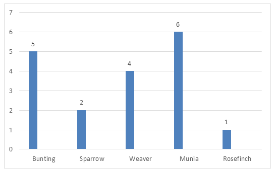 Figure 6: Finches of Bangladesh.