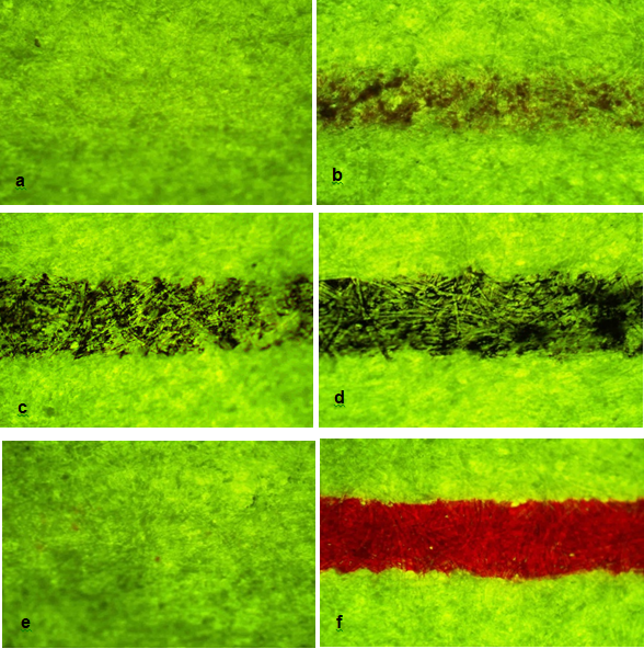 Figure 8: Different intensity of fluorescence observed in the samples kept in sunlight for 30 days a) Cello finegrip blue ball b) Add achiever blue gel c) Claro Champ black ball d) Pilot luxor V7 black gel e) Cello butterflow red ball f) Uniball signo gelstick red gel.