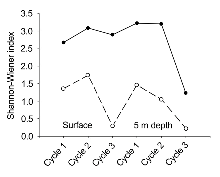 Figure 6: Maximum (solid line) and minimum (dashed line) values of microphytoplankton diversity (H´) for three circadian cycles (February 1989) in Bahía Magdalena.