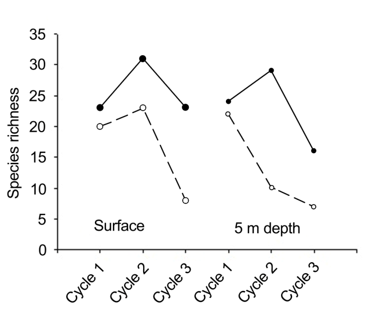 Figure 7: Most of the diatom species were planktonic; however, tychoplanktonic (benthic) diatom species were also well represented (Table 1) in our phytoplankton samples, and 25 benthic and 3 benthic- planktonic (based on our observations) species were found.