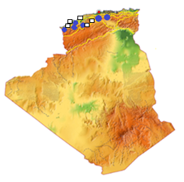Figure 12: _Ictonyx libycus_.