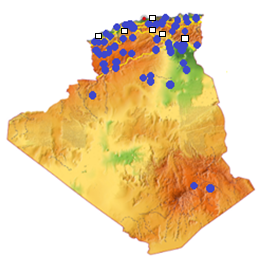 Figure 15: _Hyaena hyaena_.