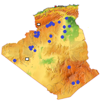 Figure 16: _Felis margarita_.