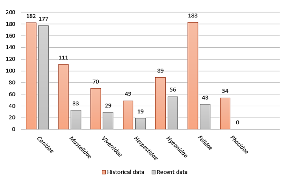 Figure 2: Histogram of the chronological evolution of contacts among different families of carnivores. Frequency of Occurrence by Species The results of occurrence frequencies by species during historical and recent periods are given in Table 4.