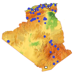 Figure 20: _Panthera pardus_.