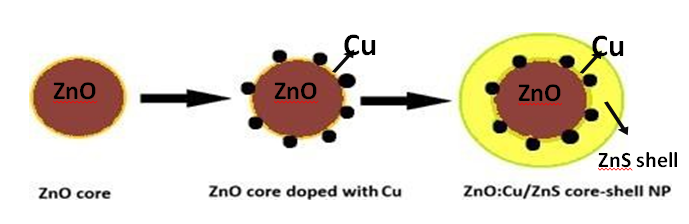 Figure 2: ZnO: Cu@ZnS core-shell nanoparticle.
