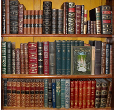 Figure 2: The researchers utilized 20 articles published in the last 5 years to complete a thorough literature review.