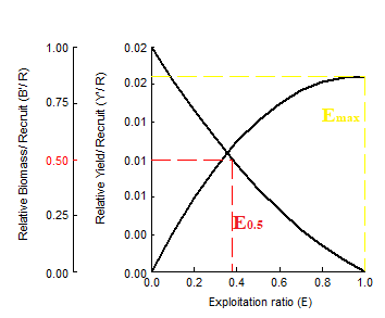 Figure 6: The analysis revealed several key values: - Emax: This is the exploitation rate that maximizes yield per recruit, found to be 1 y⁻¹.
