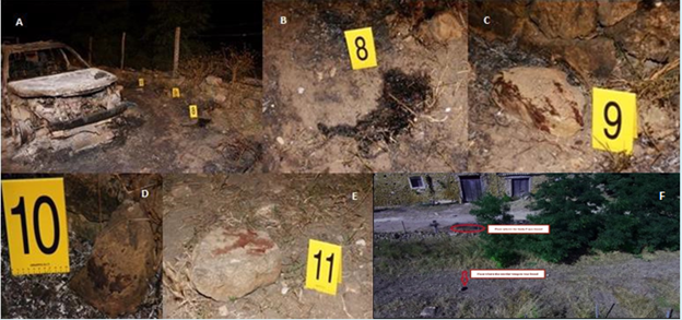 Figure 5: Photographic Evidence of Forensic Investigation on Body F. A: Area in the Vicinity of the Vehicle Set on Fire with Numerous Blood Pools; B: Two Stones with Projection Marks (C and D) And, Nearby, A Boulder Soaked in Blood; E: Likely Representing the Murder Weapon. All Exhibits Tested Positive in the Combur3Test.