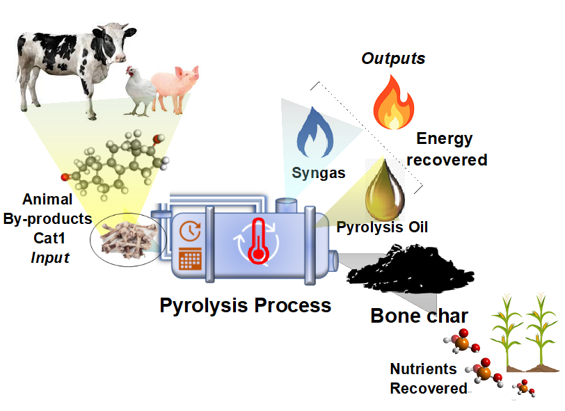 Figure 2: Pyrolysis Process for ABPs Cat 1. Source: Prepared by the authors.