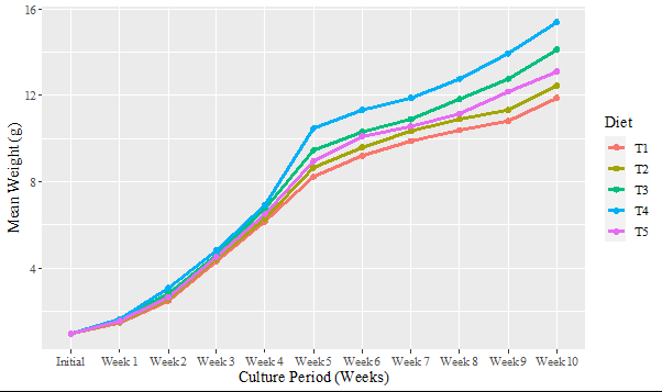 Figure 1: Weekly Weight progression.
