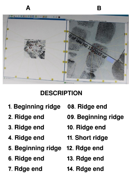 Figure 3: A: ABIS Results: The Enhanced Fingerprints Retrieved from the Scene of Crime; B: Fingerprint Collected from the Suspect; The “Description” Below Shows the Identified Minutiae.