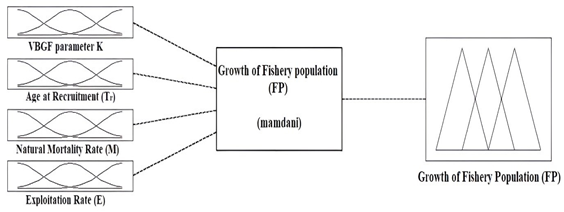 Figure 4: Fuzzy inference system variables (Inputs: FLmax, M, S, K, Tmax; Output: FV).