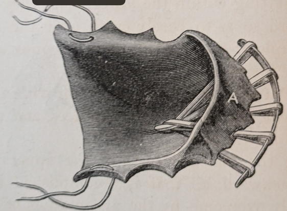 Figure 7: Kingsley NW lower inclined plane appliance.