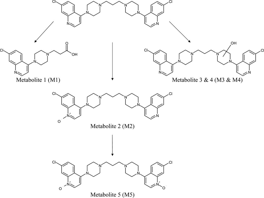 Figure 1: Two additional metabolites of piperaquine, M3 an M4 were confirmed using liquid chromatography tandem high-resolution LTQ-Orbitrap mass spectrometry (HRMS) and two other metabolites M5 and M6 generated via N-dealkylation pathways in human and rat [24]. Piperaquine exhibit multiple peak concentration with extremely long elimination half-life (∼30 days) , and presumed to accumulates more in females to a degree of 30-50% more than in males [25]. This may be attributed to reports from N-oxidation and reduction retro-conversion of piperaquine and its main metabolite N-Oxide (M1) [26]. While CYP 3A4 is responsible for forward metabolism to MI metabolite, flavin containing monooxygenases was also reported to modulate the conversion of M1 to piperaquine which have also been reported to be induced by female’s hormones [27]. On the other hand Clarithromycin, an analogue of erythromycin that inhibits CYP3A4 was also reported to inhibit liver- specific organic anion–transporting polypeptides [28] and intestinal activity of CYP3A4 [29]. The aim of this study was to determine the effect of clarithromycin co-administration on the early-phase disposition of piperaquine in healthy volunteers’ optimization of concurrent infectious diseases therapy.