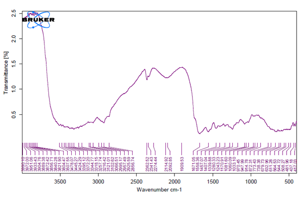 Figure 1: Collagen FTIR Spectra of Acid-Soluble Collagen Extracted from Heterotis niloticus Skin.