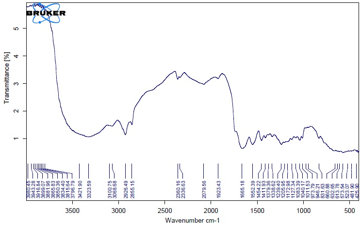 Figure 2: Pepsin-Soluble Collagen FTIR Spectra of Lates niloticus Skin.