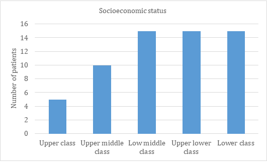 Figure 2: Depicts the Distribution of Study Participants According to their Socioeconomic Status.