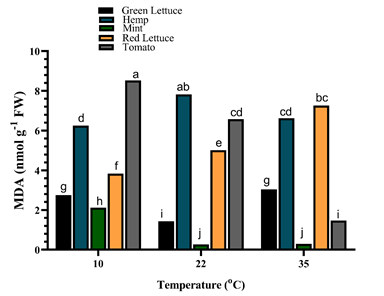 Figure 3: Malonaldehyde content of different crop species under varying temperatures. Values are the means of four replicates and different letters indicate significant (p < 0.05) differences according to Tukey’s post hoc test.