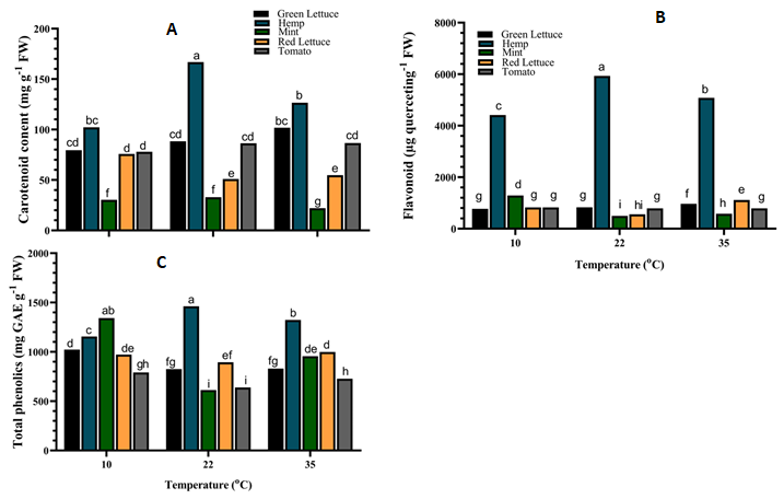 Figure 5: Antioxidant compound contents of different crop species under varying temperatures. (A) Carotenoid (B) Flavonoid (C) Phenolic. Values are the means of four replicates and different letters indicate significant (p < 0.05) differences according to Tukey’s post hoc test. Likewise, the phenolic content of hemp was increased by ca. 26.5% and 14.5% under both 22°C and 35°C respectively, while that of red lettuce and tomato were increased at both 10°C and 35°C (Figure 5C).