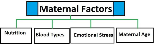 Figure 2: Different types of Maternal Factors.