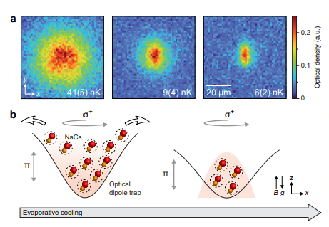 Figure 11: it shows the schematic diagram of BEC of magnons in dimerized quantum antiferromagnets. (a), Dimers in the real material TlCuCl3 with S = 1/2 from Cu2+ ions and superexchange via Cl−. (b), Dimers on a square lattice with dominant antiferromagnetic intradimer interaction J0 and interdimer interactions Ji. Triplet states (grey, top) are mapped onto quasiparticle bosons (triplons, bottom). (c), Zeeman splitting of the triplet modes with gap 1 and bandwidth D at k0 = (π/a, π/a). Inset, Dispersion of triplons at the critical field Hc1. (d), Resulting phase diagram with paramagnetic (PM), quantum disordered (QD) and field-aligned ferromagnetic (FM) phases and canted-antiferromagnetic (XY-AFM) phase, where a magnon BEC occurs (adopted from ref. [17]).