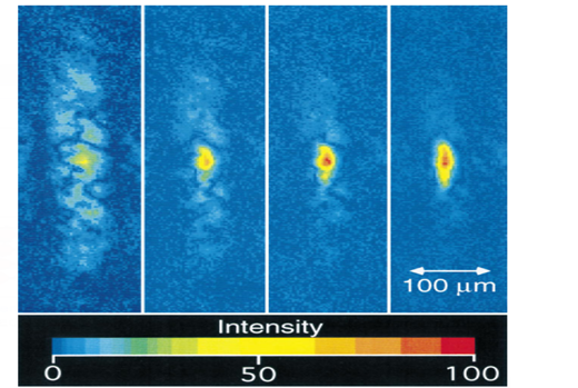 Figure 8: represents the observation of BEC , as observed by Aftalion, et al. [14] , through the Density profiles of a rotating condensate for different rotation parameters for (a) Ω = 0.25, (b) Ω = 0.9, (c) Ω = 0 p .99 and (d) Ω = 0.994. Distances are measured in units of ~/(mω).