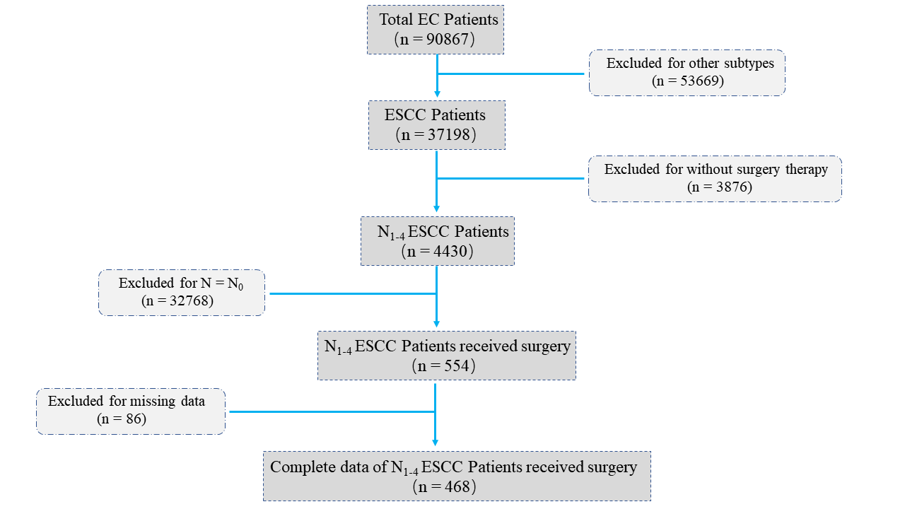Figure 1: Inclusion flow chart for ESCC patients with LNM who had surgery in SEER dataset.
