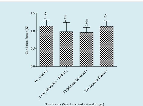 Figure 1: Variation of the fish’s condition factor according to the synthetic drugs, methanolic extract and aqueous fraction.